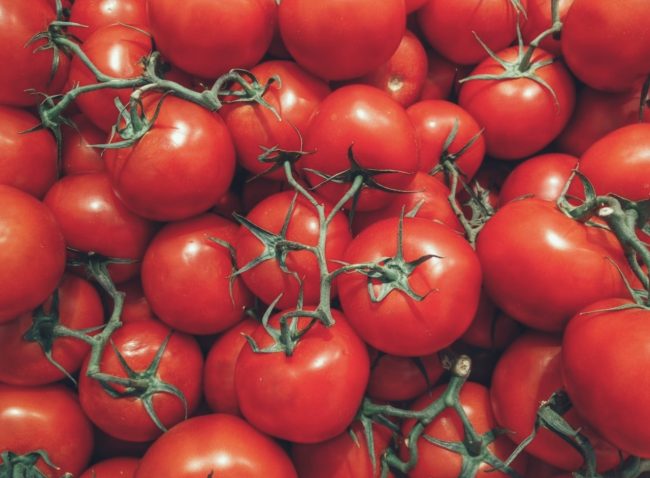 Sicilia, la Cassazione conferma la responsabilità per riproduzione illegale di varietà vegetali protette