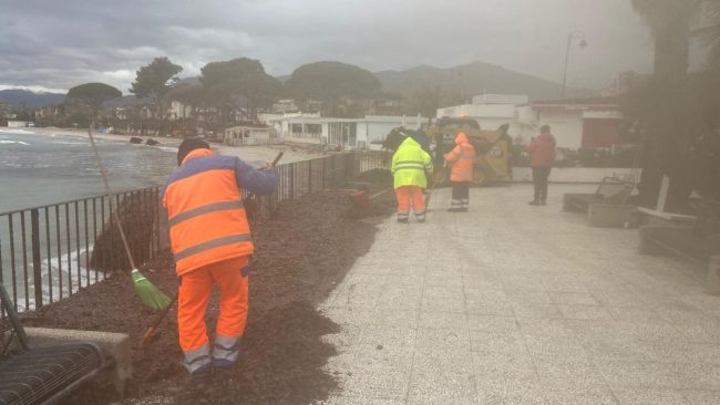Operazioni di rimozione della posidonia sul litorale di Mondello
