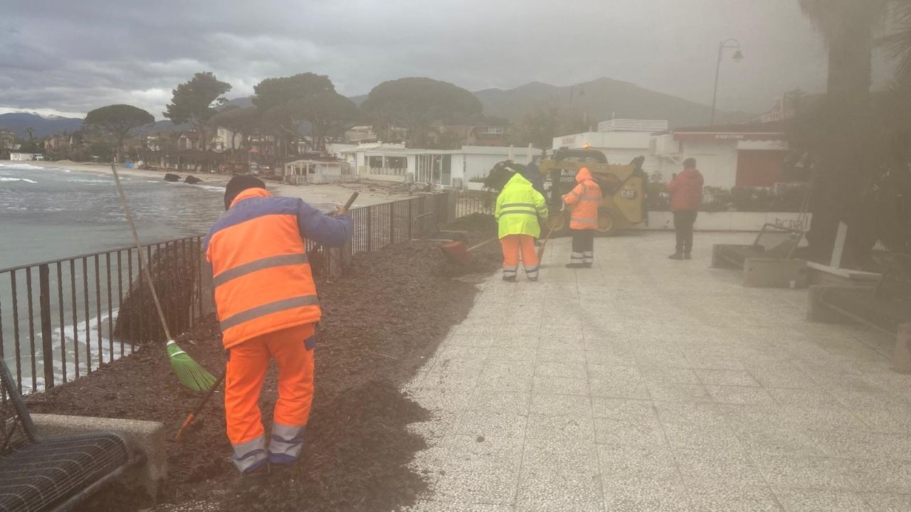 Operazioni di rimozione della posidonia sul litorale di Mondello