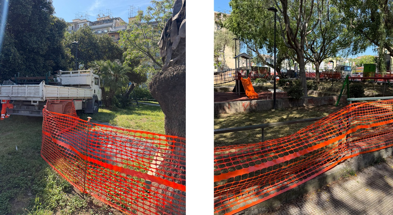 Catania, al via la riqualificazione del Parco Falcone: più verde e nuovi servizi