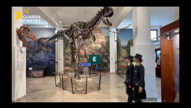 Traffico illecito di fossili, maxi sequestro a Palermo: reperti affidati al Museo Gemmellaro