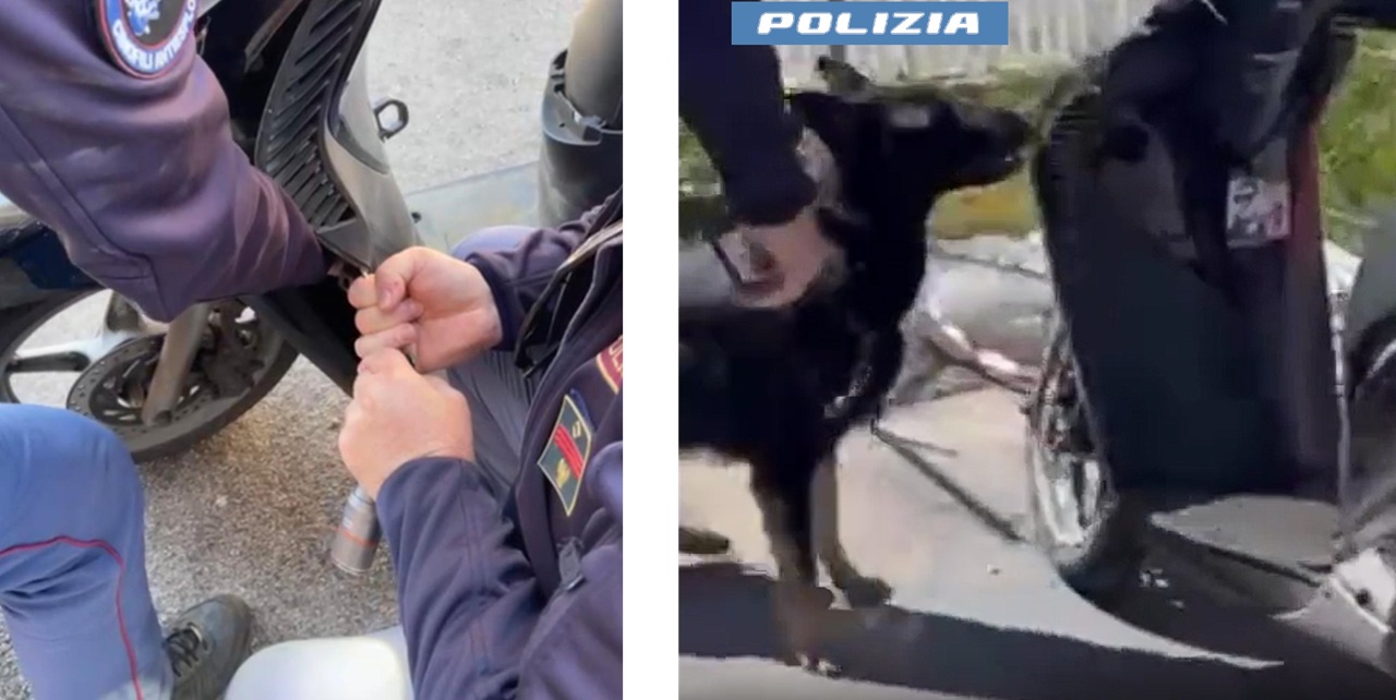 Scooter con doppio fondo per la droga, ma “Briska” non sbaglia: 28enne arrestato a Catania