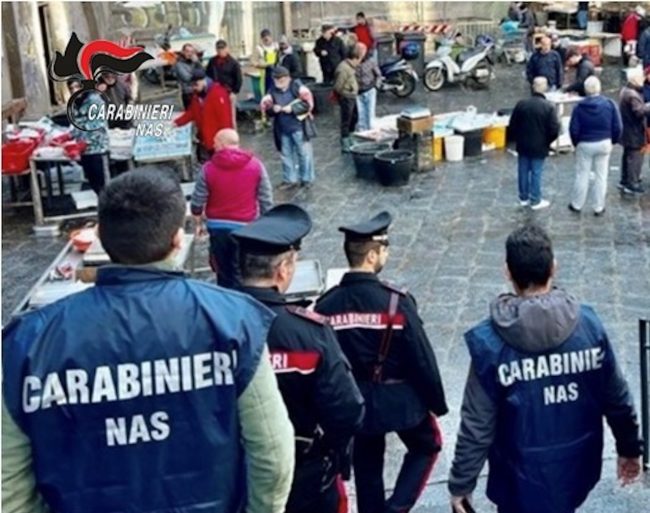 Sequestrati oltre un quintale di prodotti ittici tra i mercati di Catania