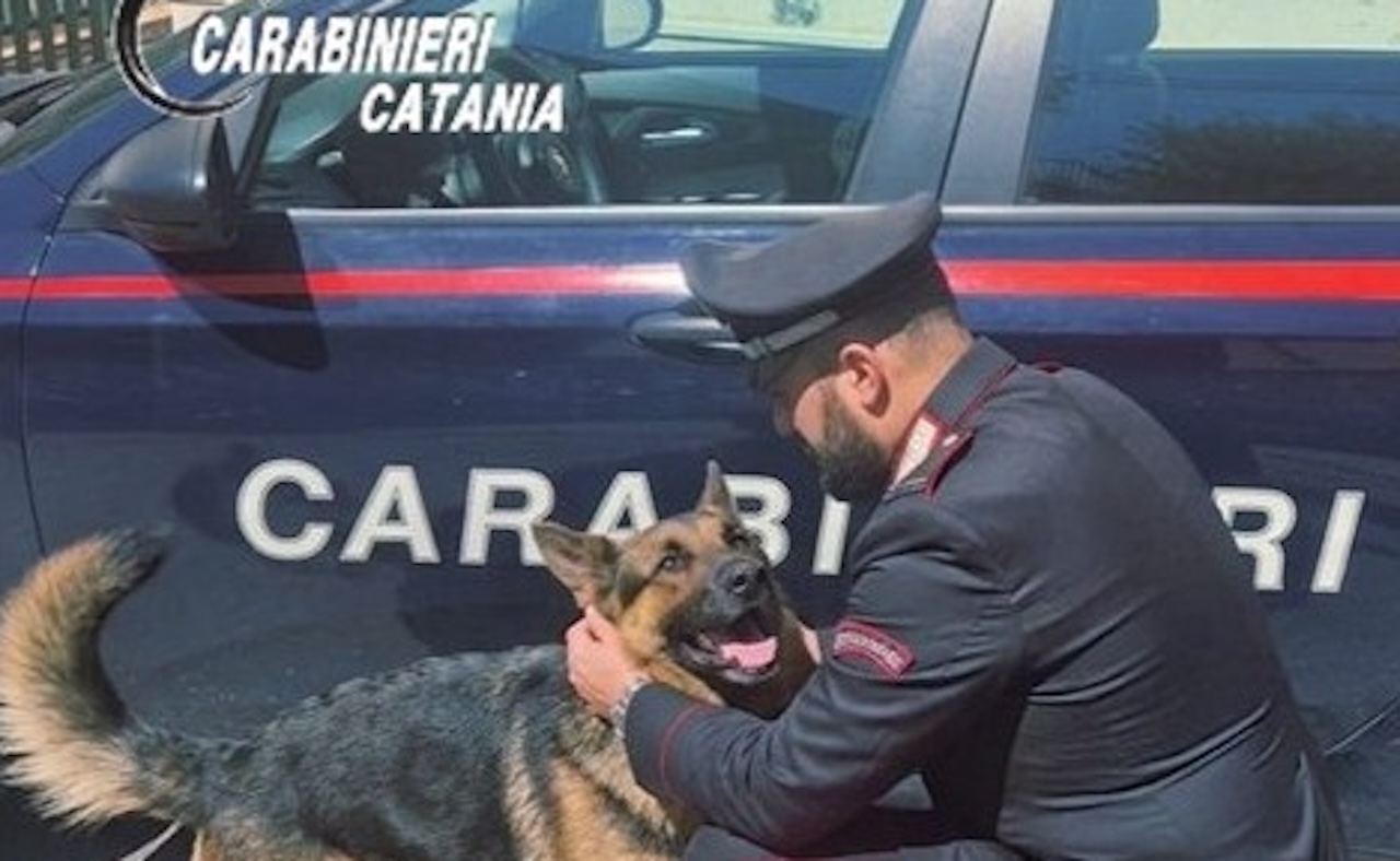 Lascia il cane in auto come “antifurto” ma con i finsetrini chiusi: i carabinieri lo salvano