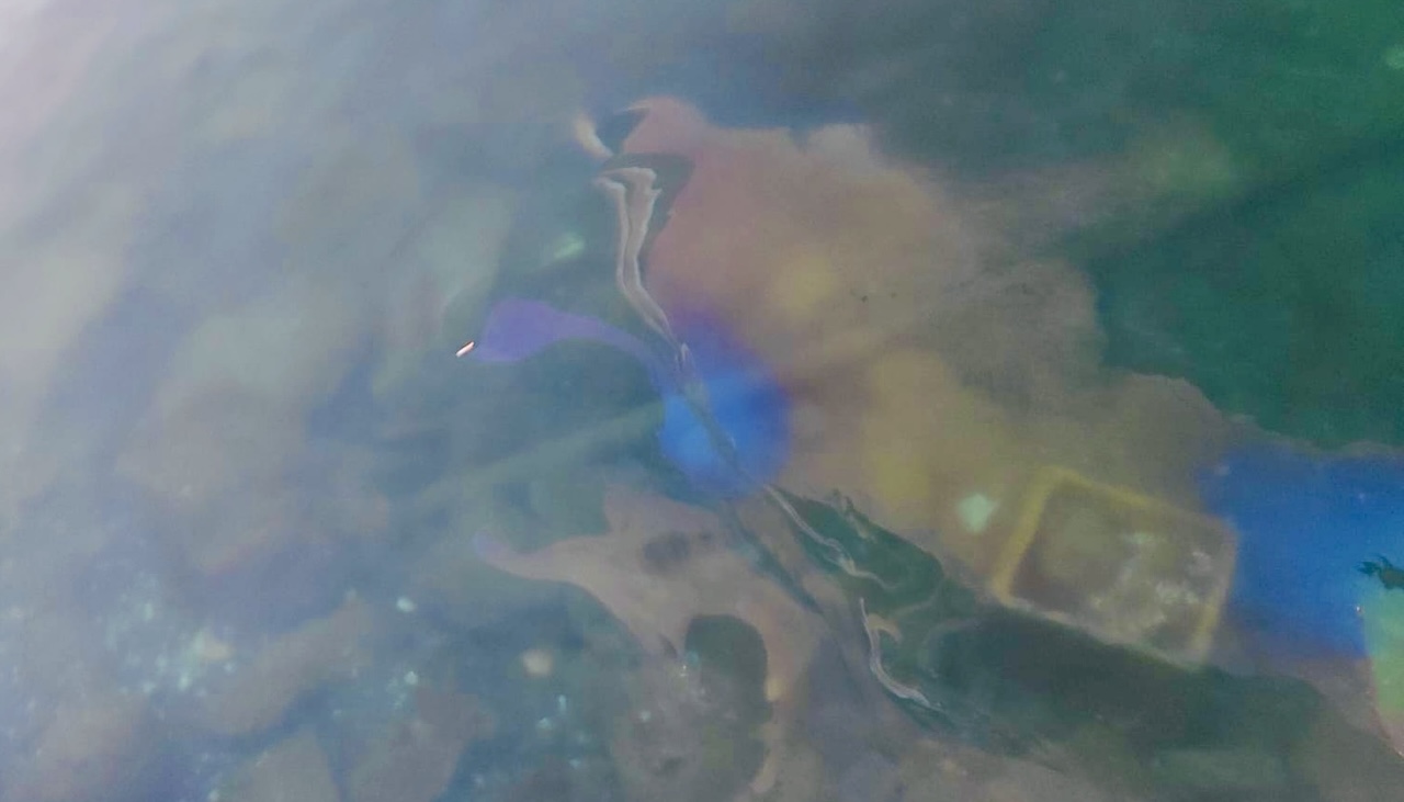 Il caso delle macchie di nafta nel mare di Ognina: la denuncia Il caso delle macchie di nafta nel mare di Ognina: la denuncia