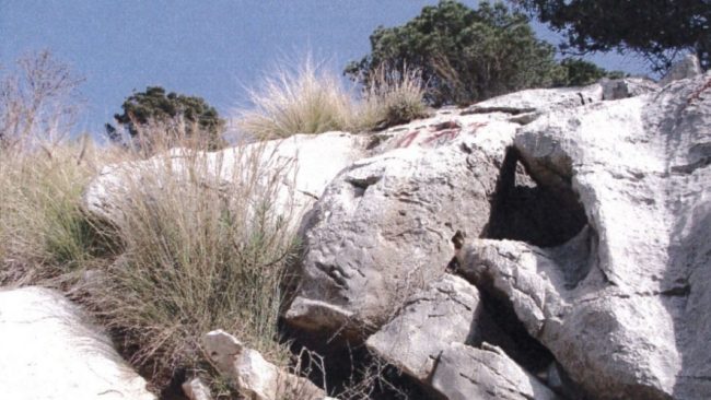 Contrasto al dissesto idrogeologico, in gara i lavori al costone di Monte Gallo