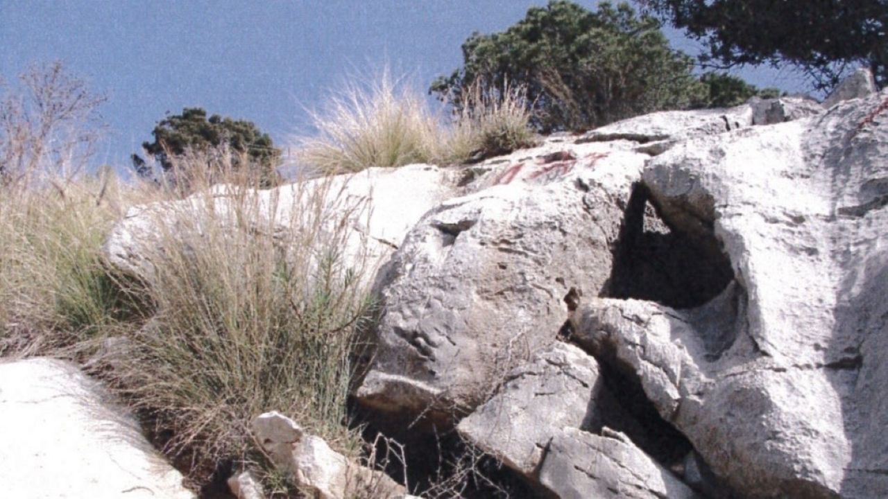 Contrasto al dissesto idrogeologico, in gara i lavori al costone di Monte Gallo