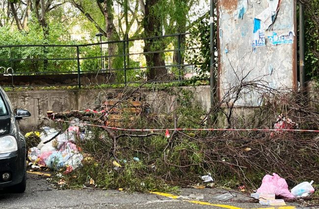 Borgo-Sanzio nel degrado: la denuncia della consigliera Angela Cerri