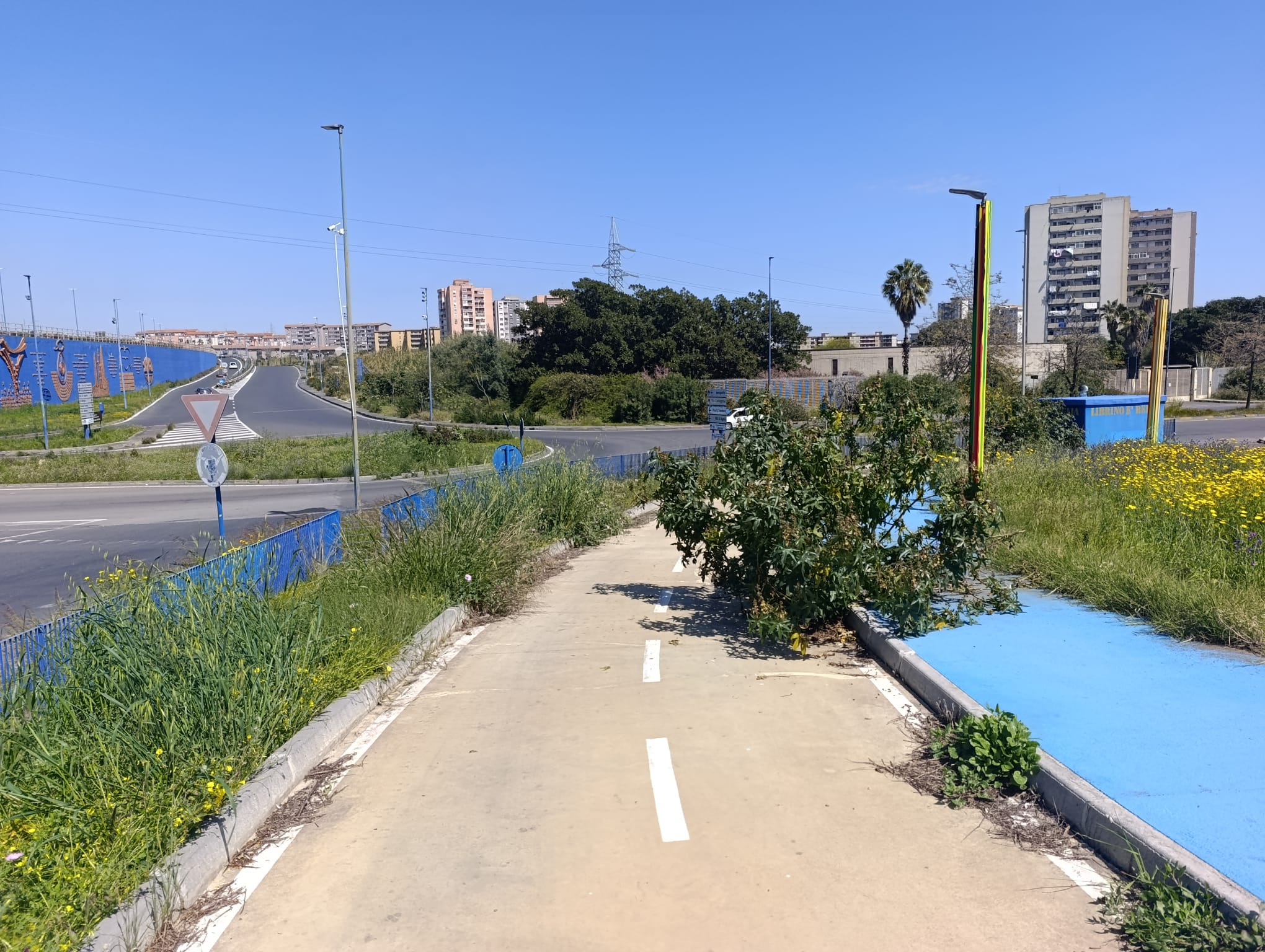 Librino, spine verdi nel degrado: “Erbacce e strutture inutilizzabili, serve intervento urgente”