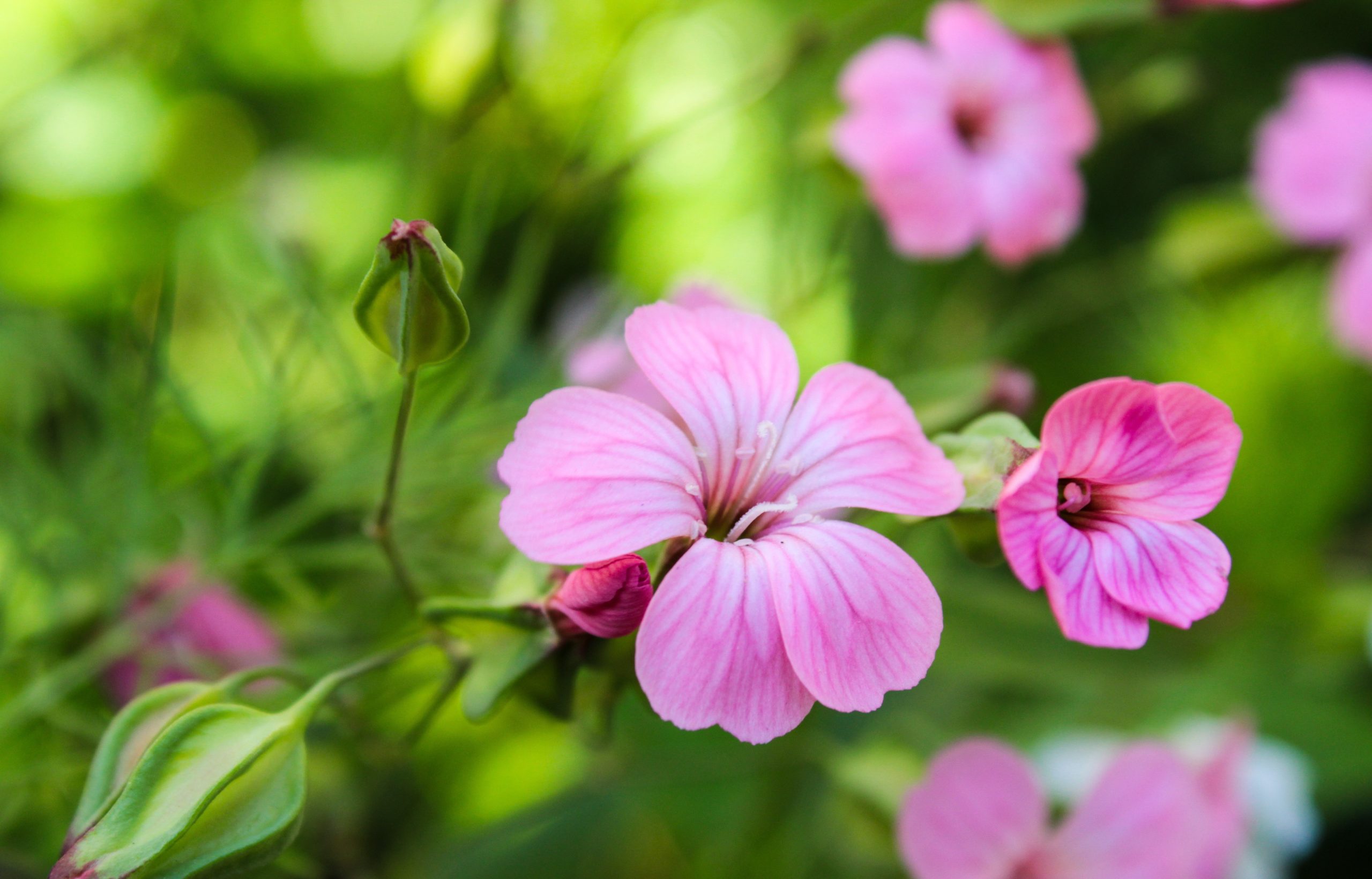 Meteo Sicilia, continua a splendere il sole sull’Isola: le previsioni per domani