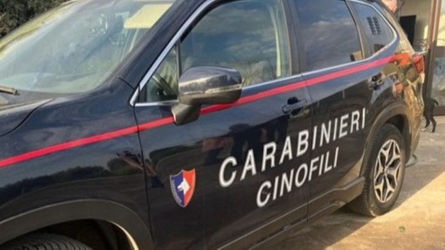 Droga “vola” dal balcone e i carabinieri si godono la scena: un arresto a Belpasso