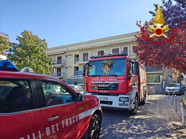 Incendio in un appartamento nel Catanese: morto un gattino