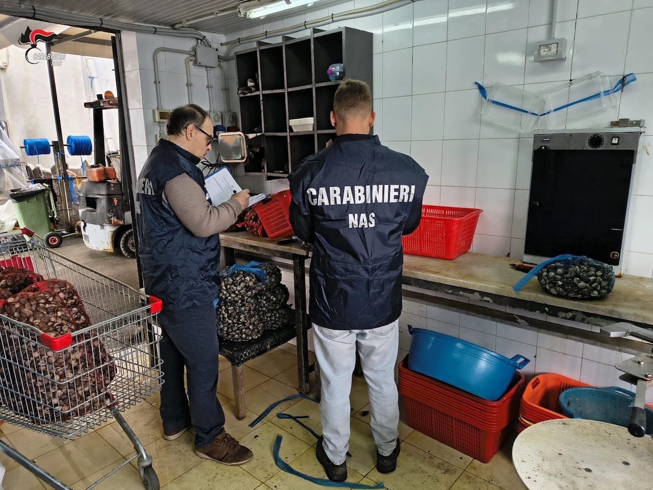 Sequestrati oltre 4 kg di prodotti ittici a Palermo: il blitz dei Nas
