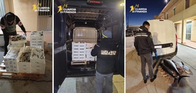 Pesce senza tracciabilità, sequestrati 400 kg a Messina: sanzioni salate per tre soggetti