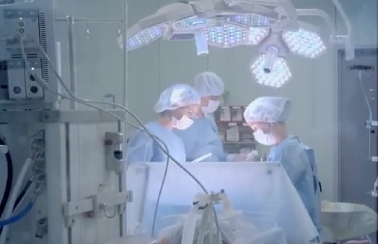 Prelievo multiorgano al Policlinico di Palermo: il gesto di una 39enne salva più vite