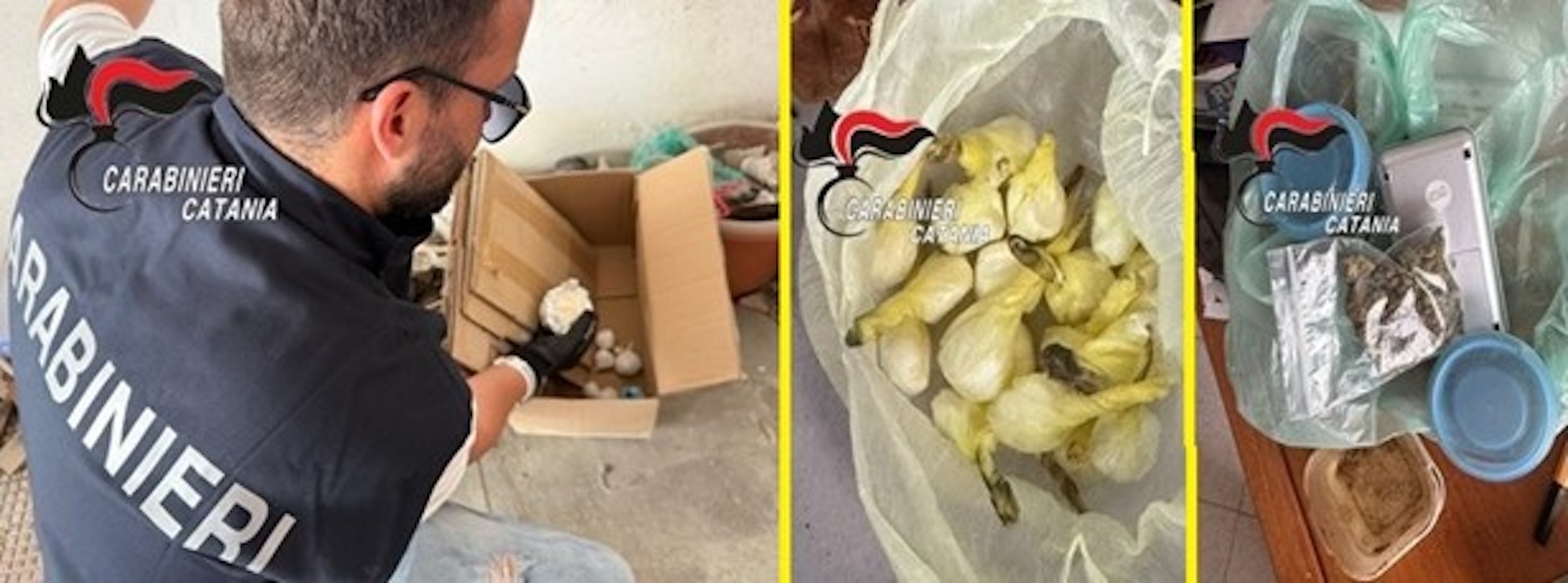 Garage della droga e scatole piene di cocaina: così due pusher agivano ad Acireale