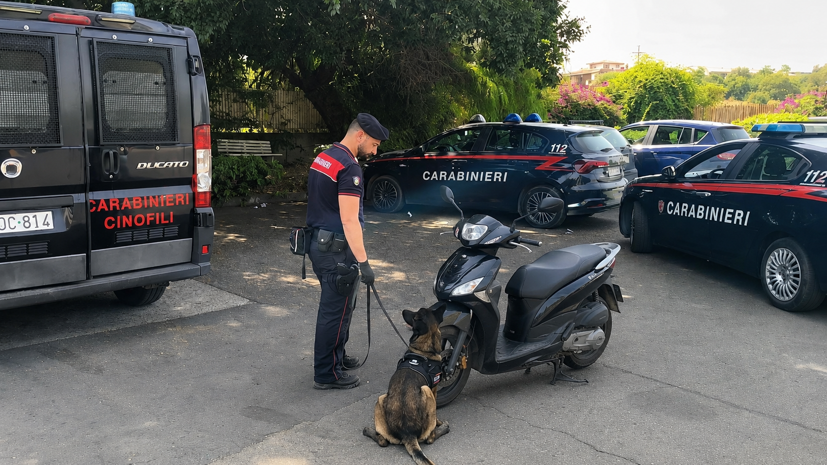 Paternò, droga nascosta nello scooter: il cane antidroga fiuta le dosi nel sottosella