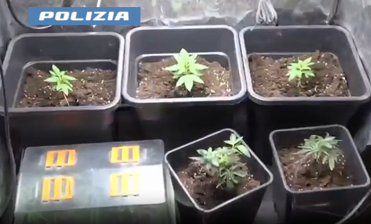 “Doppio business” illegale in casa: incastrato un 49enne a Catania – VIDEO
