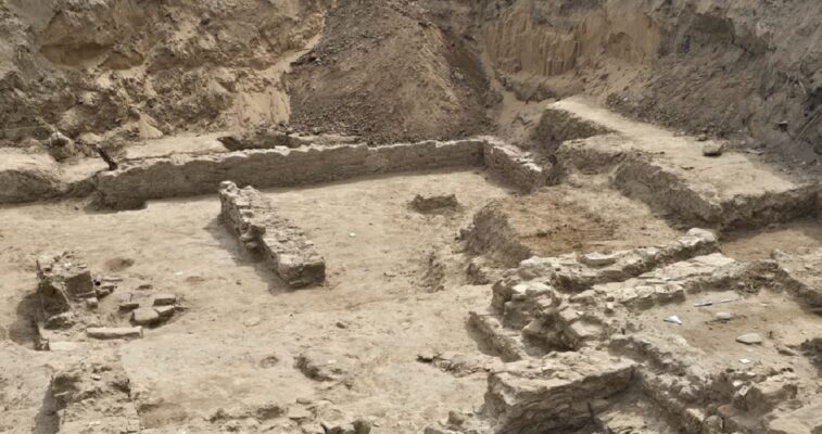 Nuova scoperta archeologica a Gela, rinvenute monete del V secolo a.C.