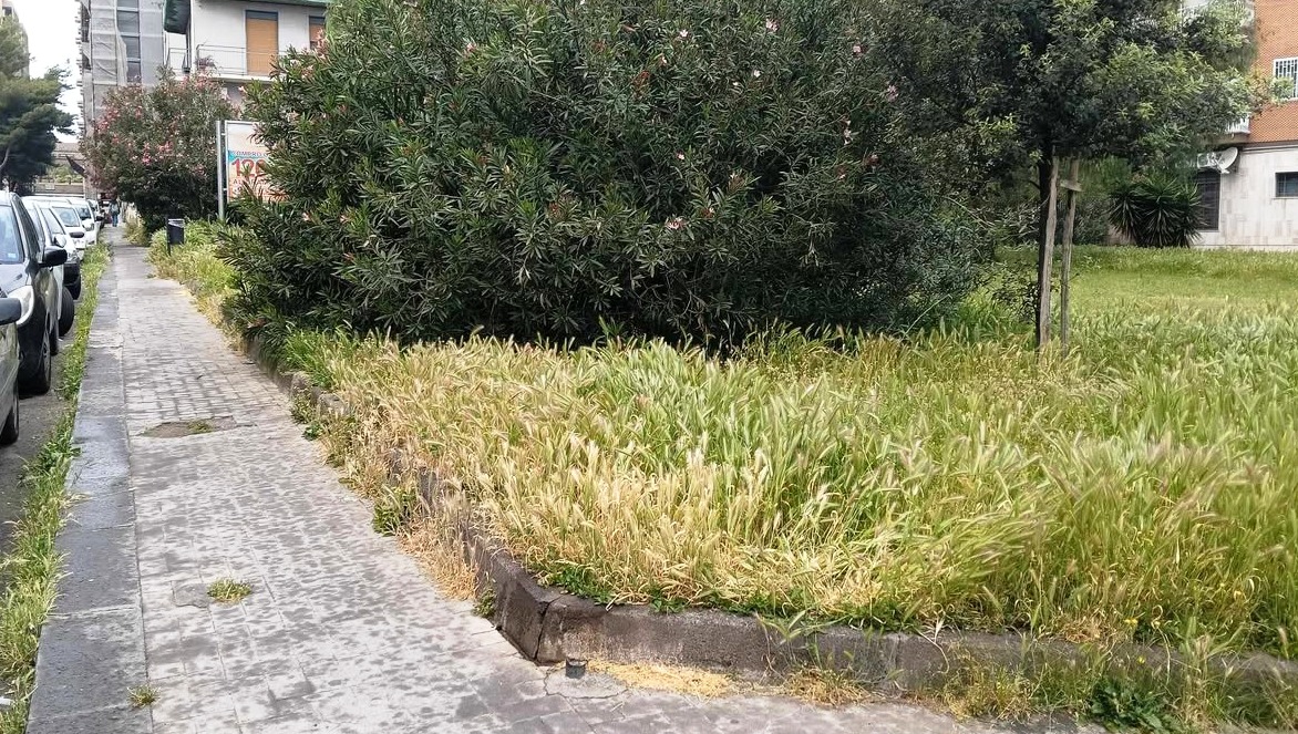 Verde pubblico nel degrado a Borgo-Sanzio, il Comitato Vulcania denuncia: “Gestione imbarazzante”