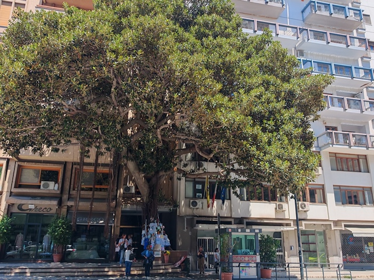 L’Albero Falcone si riempie di messaggi e disegni: “Continuiamo a camminare al vostro fianco”