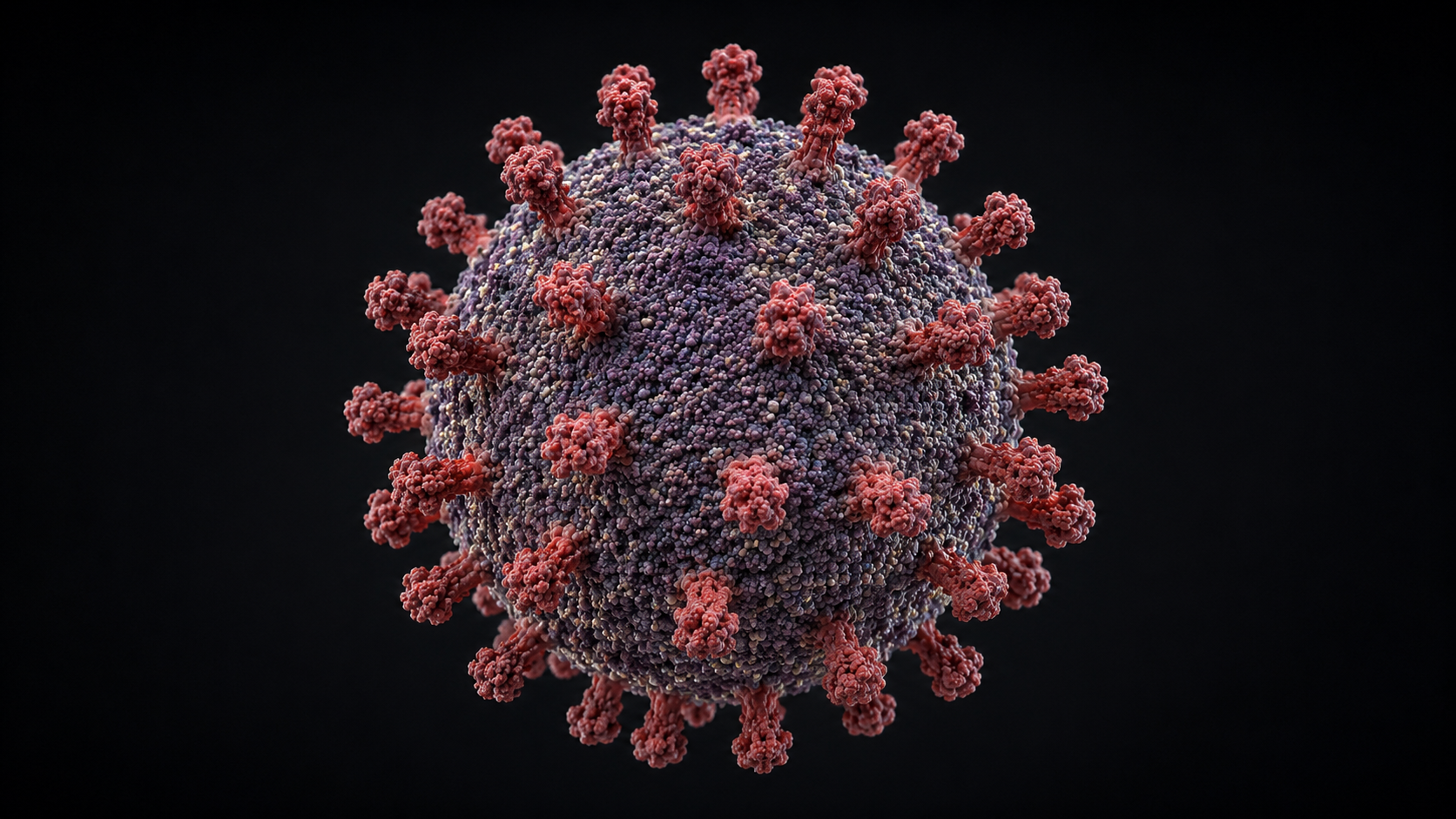 Hantavirus, allerta in Italia: 4 passeggeri del volo KLM sotto sorveglianza attiva