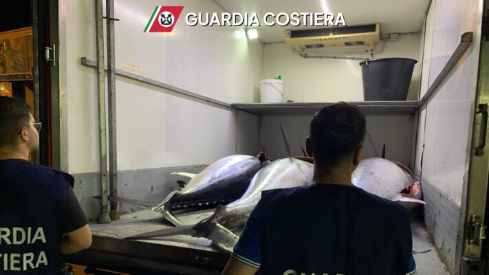 Siracusa, sequestrati mille chili di tonno rosso senza tracciabilità