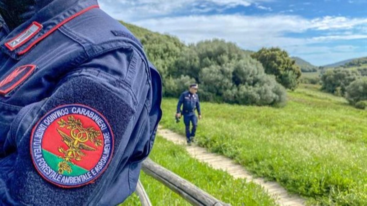Sedici cani legati e rinchiusi in pochi metri quadri: denunciata coppia a Caccamo
