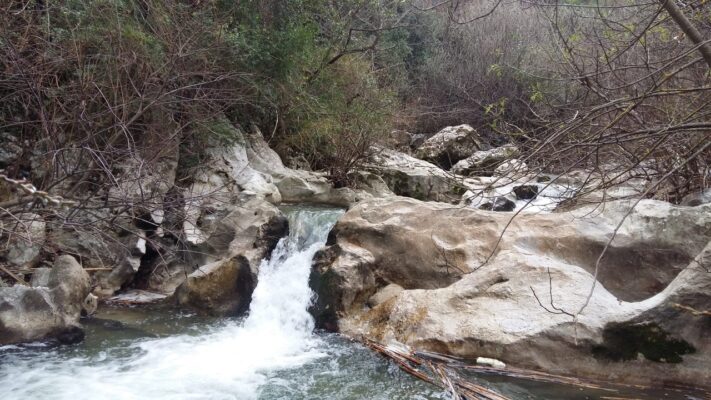 Valle del fiume Oreto: i progetti per mantenere l’area verde