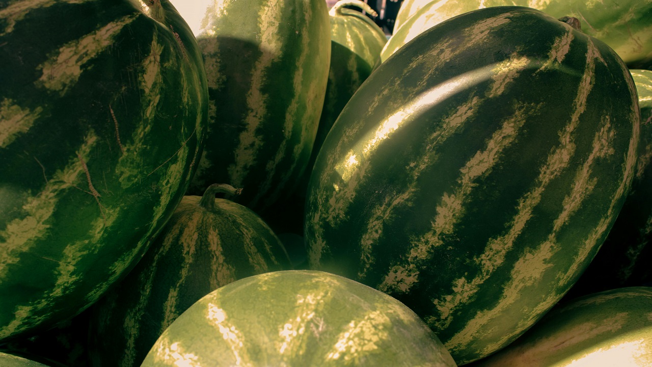 Ferito a colpi di fucile mentre rubava angurie