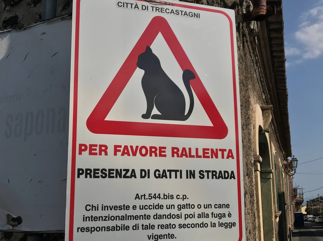 Trecastagni, installati cartelli e foto trappole per proteggere i gatti randagi: “Una battaglia di civiltà”