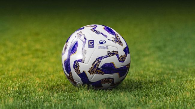 Serie D, il TFN respinge il ricorso della Reggina: campionato regolare, si va avanti
