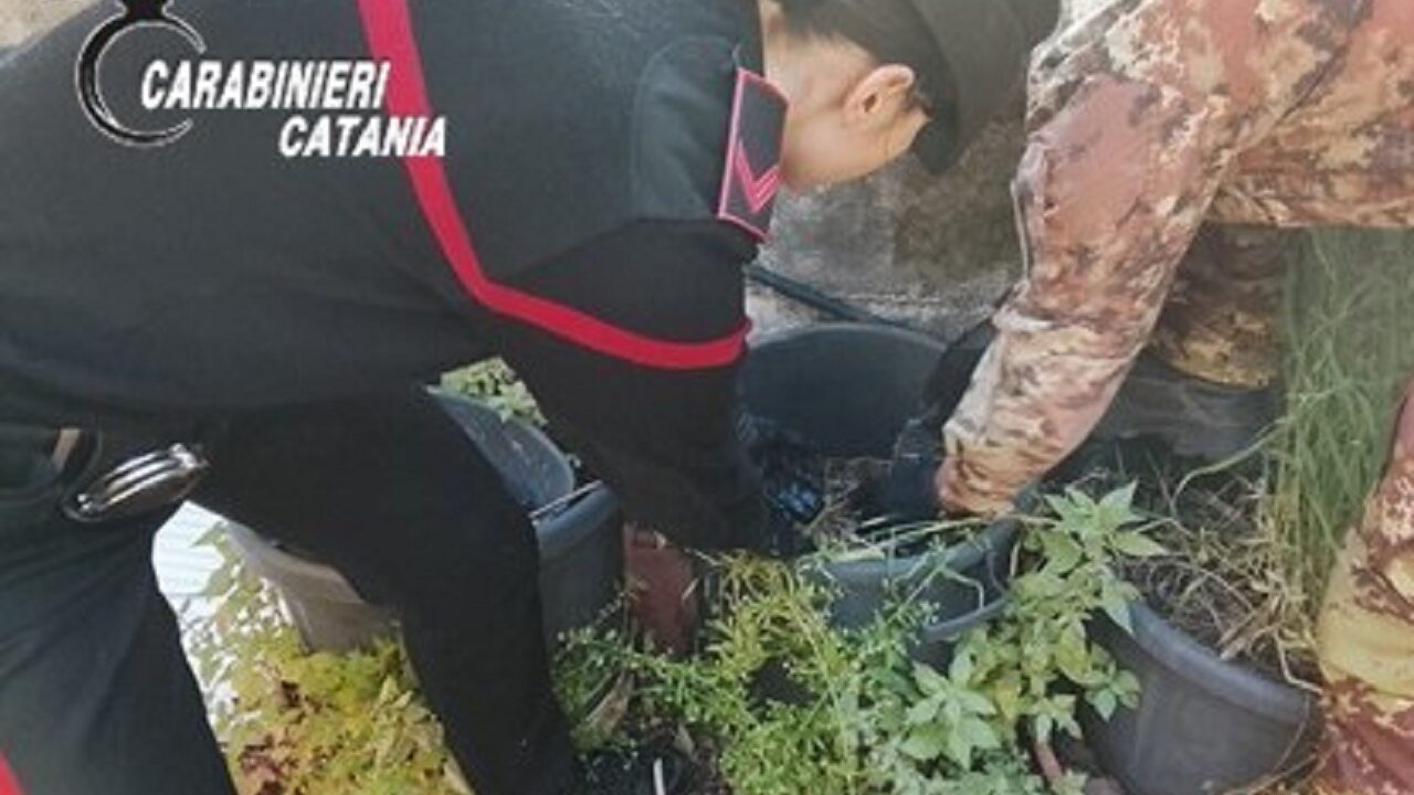 Spaccio a Catania, i carabinieri arrestano in flagranza di reato un 21enne di Biancavilla
