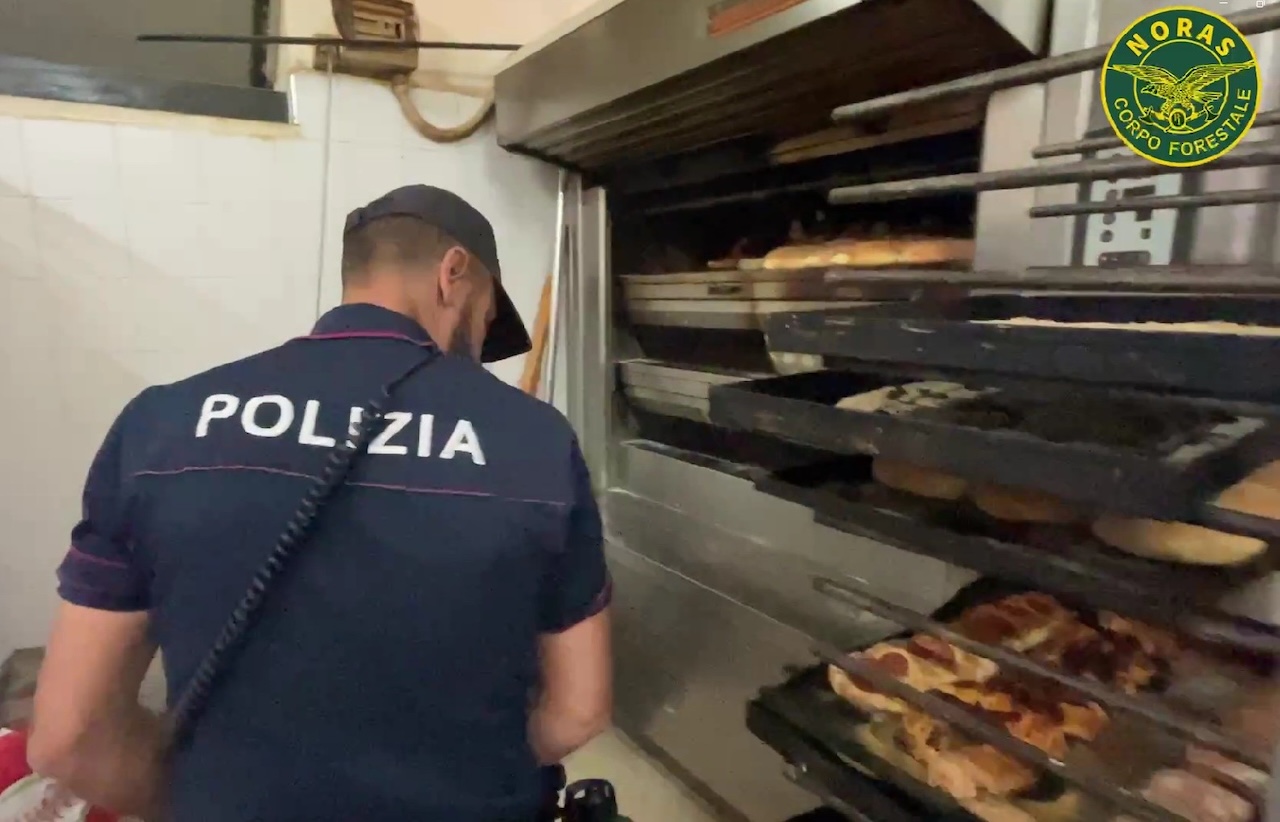 Catania, alimenti non tracciati e veranda abusiva: sanzionate due attività per 24mila euro
