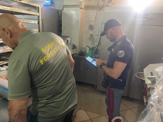 Lavoratori in nero e 150 kg di alimenti non tracciati: nel mirino un panificio di Lineri