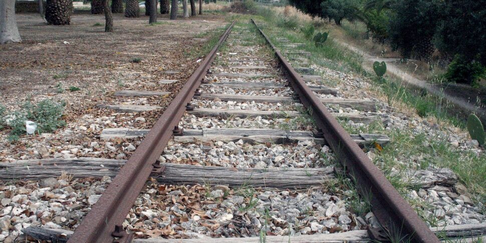 Treno travolge due vitelli, circolazione ferroviaria sospesa