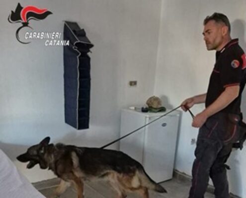 Il cane antidroga fiuta il nascondiglio della droga: due fratelli arrestati a Biancavilla