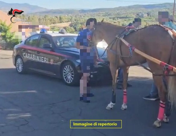 Corsa clandestina di cavalli bloccata tra Paternò e Nicolosi: intervento dei carabinieri nella notte