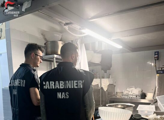 Controlli dei Nas a Palermo, irregolarità in due ristoranti etnici: 200 chili di alimenti sequestrati, denunce e sanzioni per oltre 80mila euro