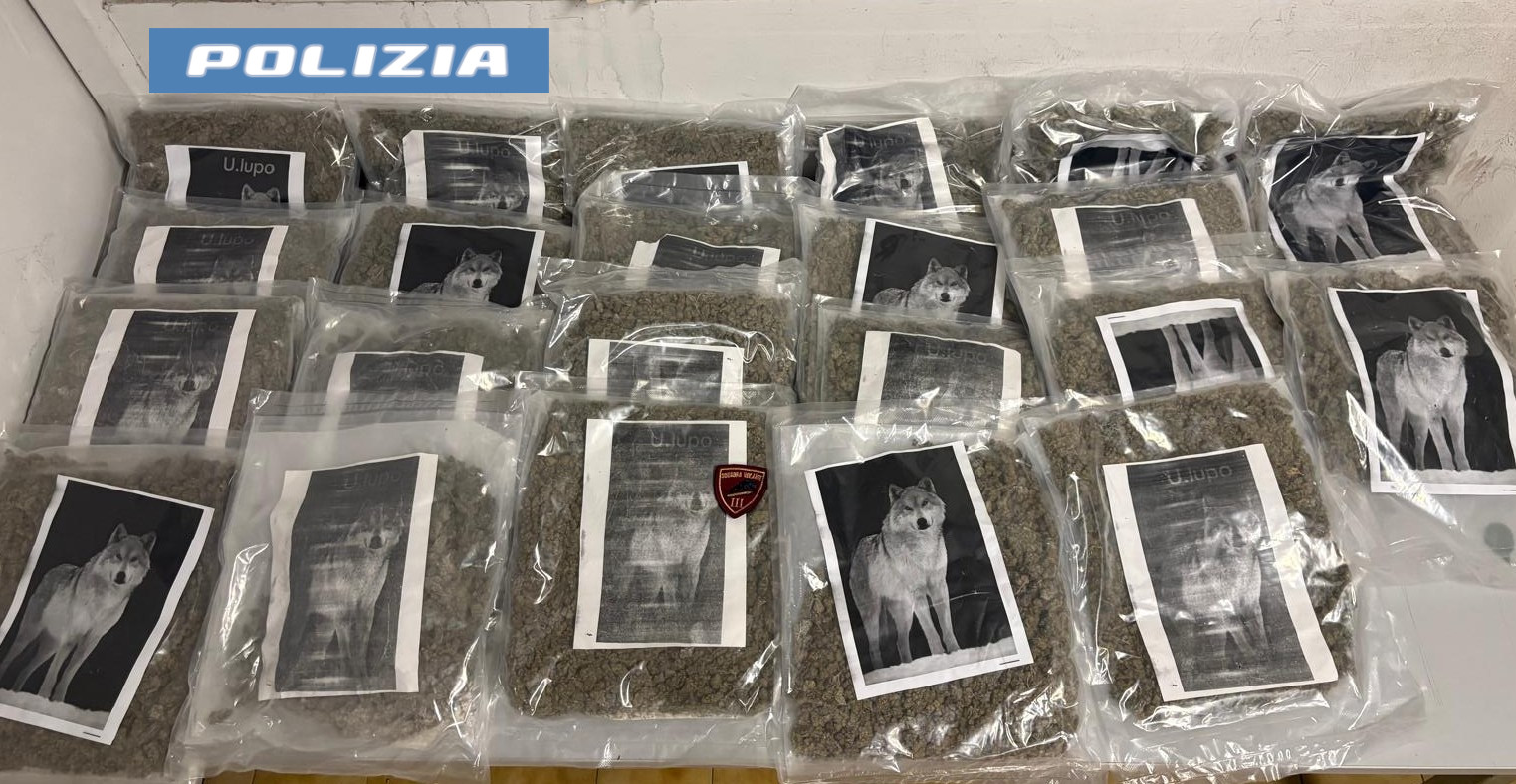Vaccarizzo, sequestrato un borsone con 20 kg di droga grazie a un cittadino