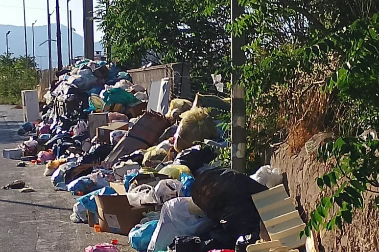 Cassonetti strabordanti di immondizia a Palermo. La nota degli assessori Tusa e Lo Nardo per il sindaco Lagalla
