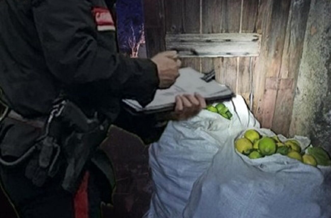 Tentato furto di limoni diventa una pericolosa sparatoria tra le vie affollate di Acireale