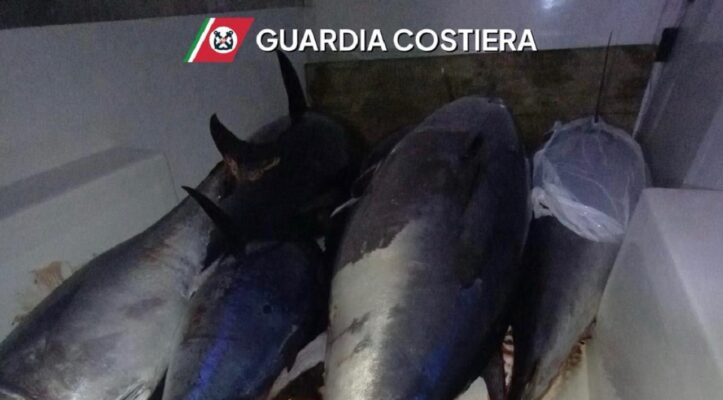 Non idoneo al consumo umano: ancora un sequestro di tonno rosso a San Vito Lo Capo