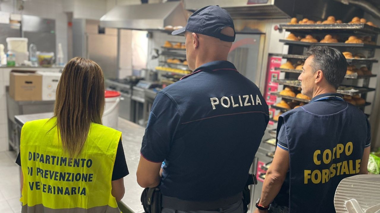 Maxi sanzione per bar del viale Mario Rapisardi. Dagli alimenti non tracciati ai lavoratori in nero