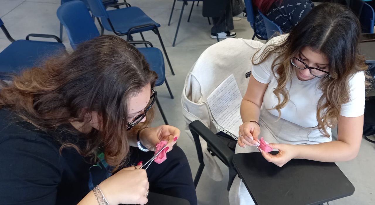Istituto “Rapisardi” di Paternò: due giorni di orientamento tra Medicina e Odontoiatria