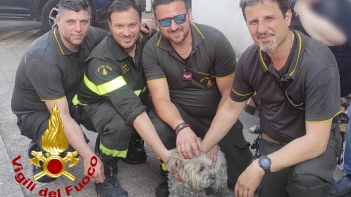 Incendio in un condominio di Misterbianco: in salvo una coppia e una cagnolina