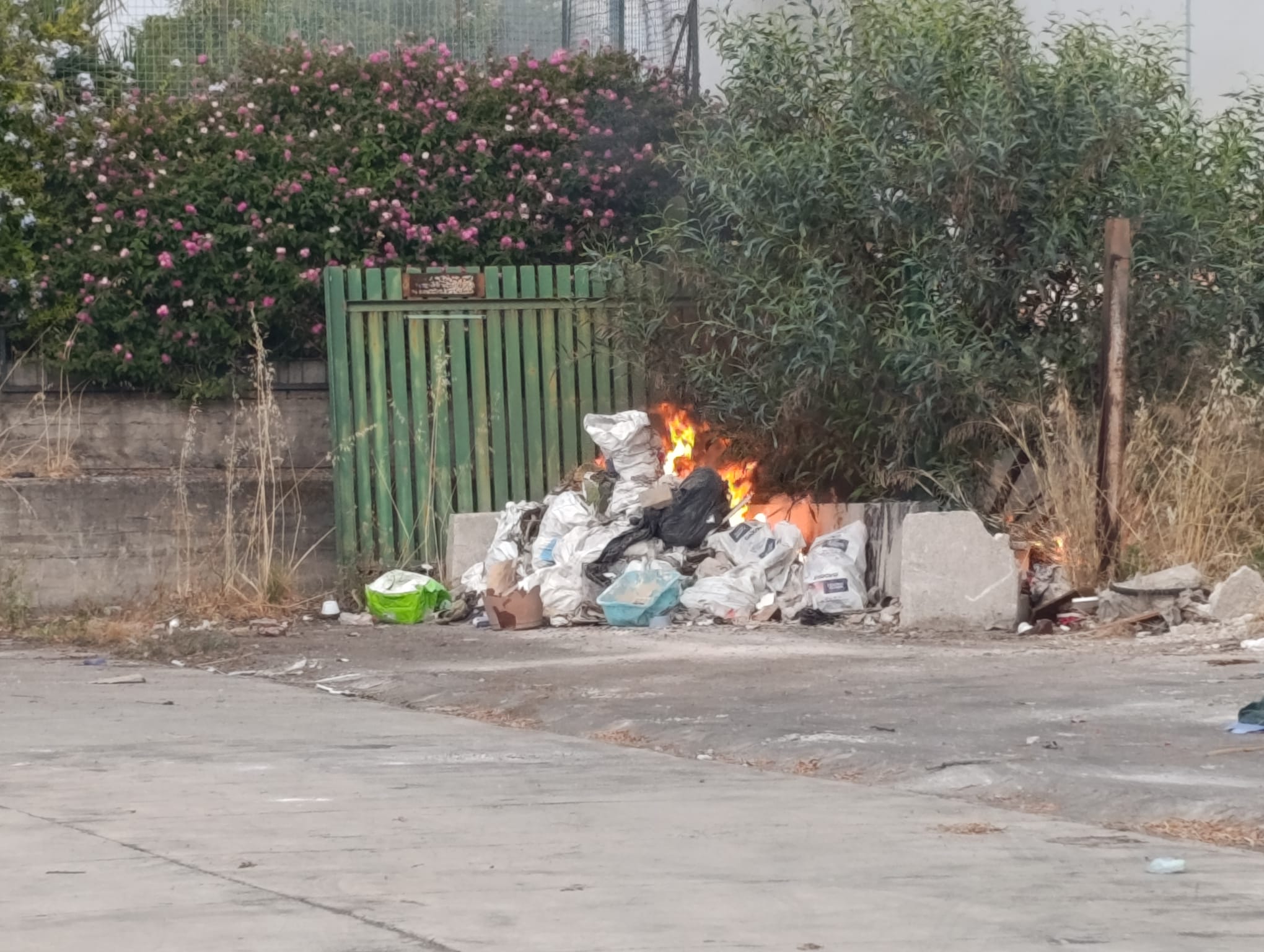 Catania, incendi tra via Patti e viale Castagnola: l’allarme di Spadaro sull’emergenza roghi