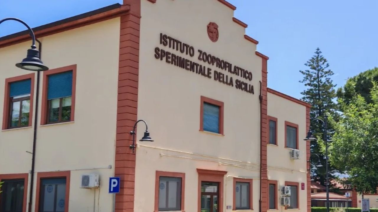 Truffa all’Istituto zooprofilattico siciliano: per i pm consulenze ad amici e parenti di politici