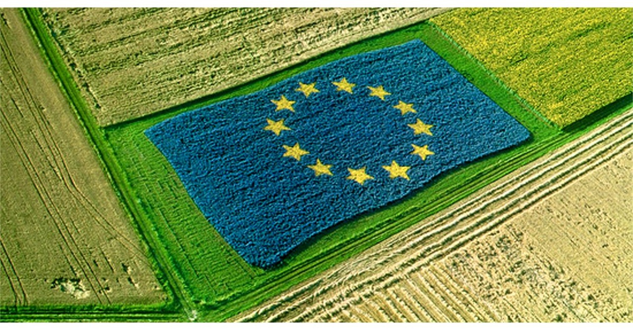 Fondi PAC 2023-2027, la Sicilia quarta in Italia per capacità di spesa: confronto tra Regione e organizzazioni agricole