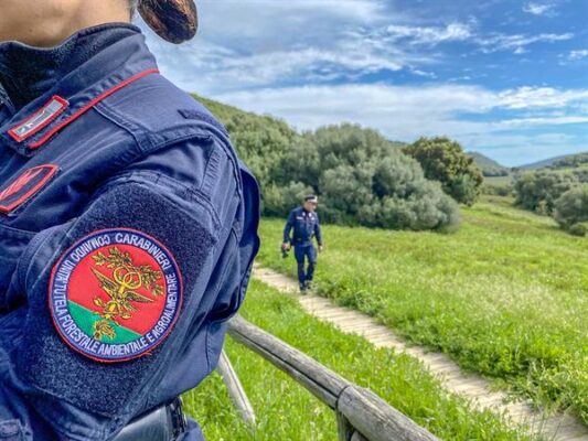 Laboratorio abusivo di “stigghiola” a Palermo: sequestrati 160 kg, due attività sospese